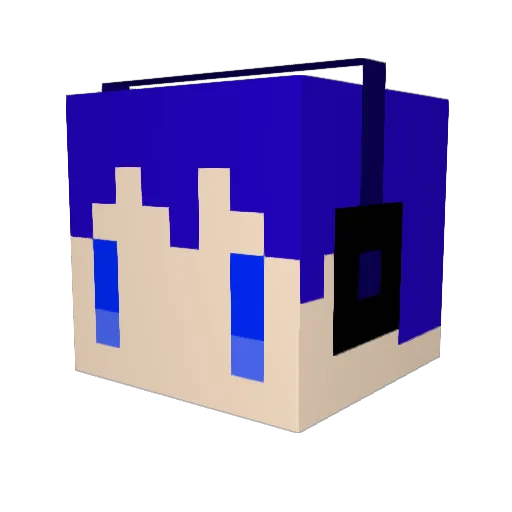 Pengin6242 Minecraft avatar head, 3D render
