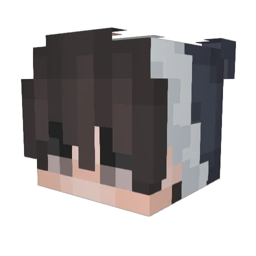 Pengingame2 Minecraft avatar head, 3D render