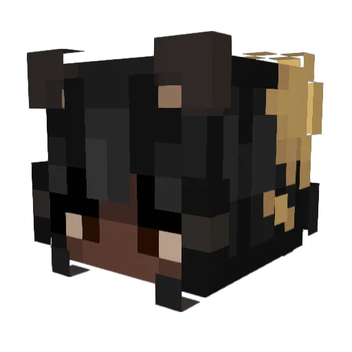 Pengipoooh Minecraft avatar head, 3D render