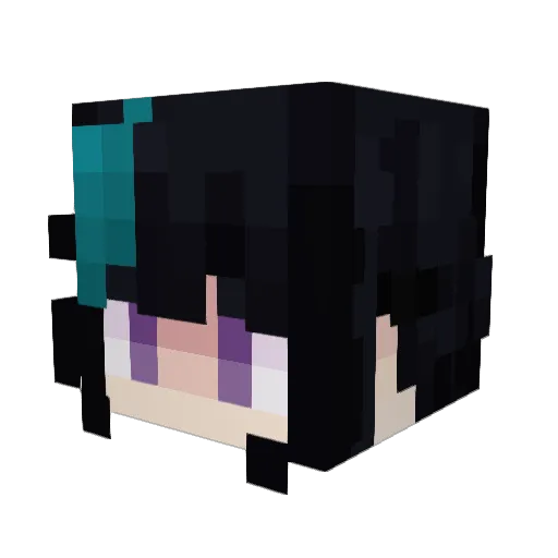 PengiunFr_ Minecraft avatar head, 3D render