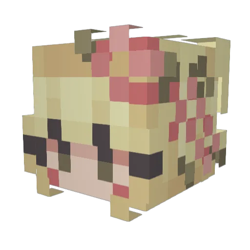 Pengo75 Minecraft avatar head, 3D render