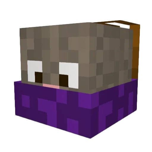PengoonIsLord Minecraft avatar head, 3D render