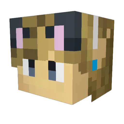 Pengosonic Minecraft avatar head, 3D render