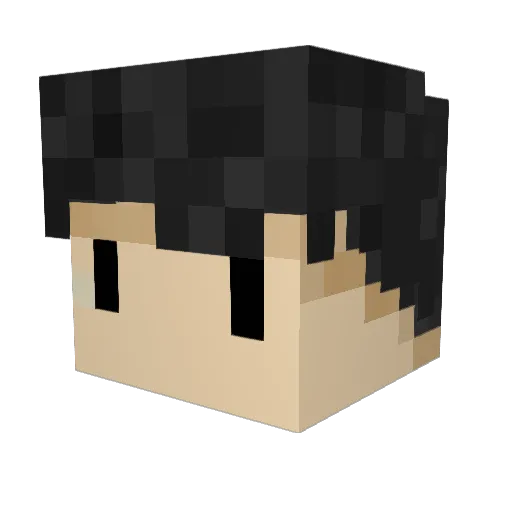 PenguPengwan Minecraft avatar head, 3D render