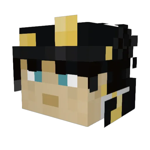 Pengu_Sensei Minecraft avatar head, 3D render