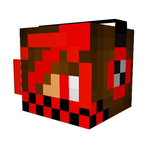Penguim123 Minecraft avatar head, 3D render