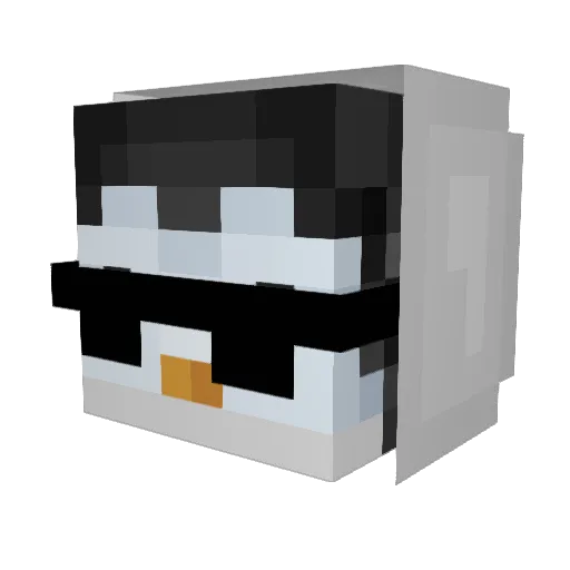Penguin0000 Minecraft avatar head, 3D render