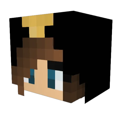 Penguin0513 Minecraft avatar head, 3D render