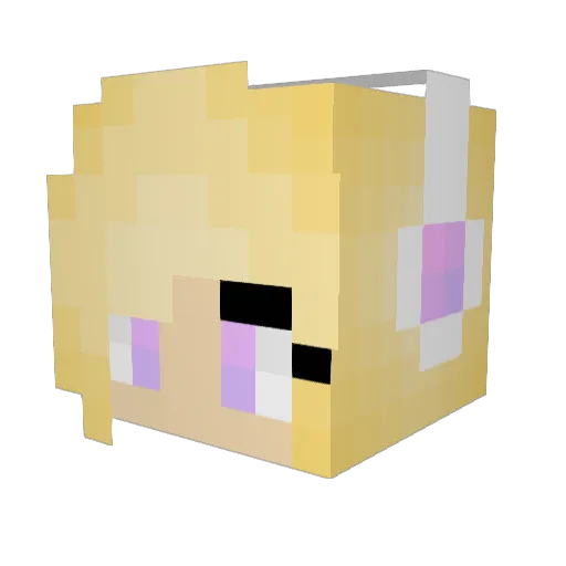 Penguin17 Minecraft avatar head, 3D render