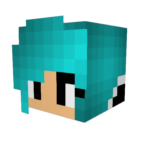 Penguin2704 Minecraft avatar head, 3D render