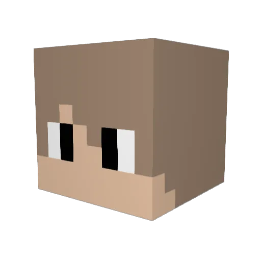Penguin5654 Minecraft avatar head, 3D render