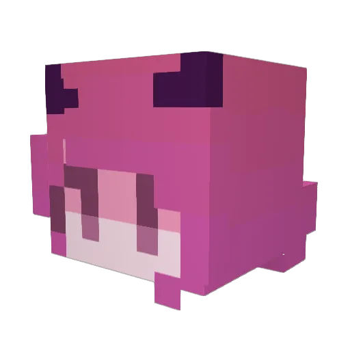 Penguin604 Minecraft avatar head, 3D render