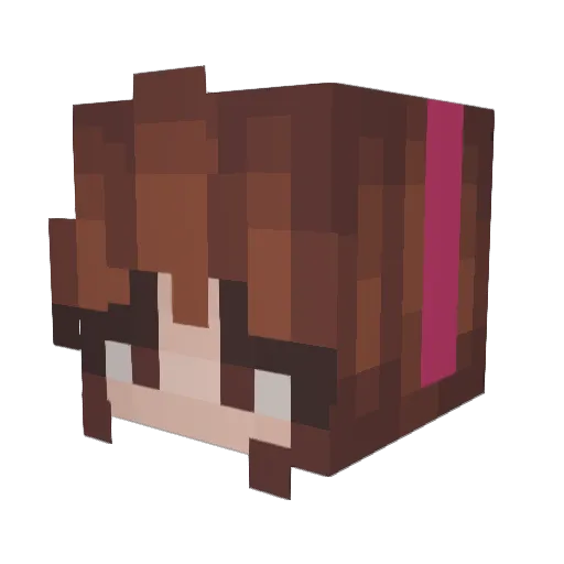 PenguinAna13 Minecraft avatar head, 3D render