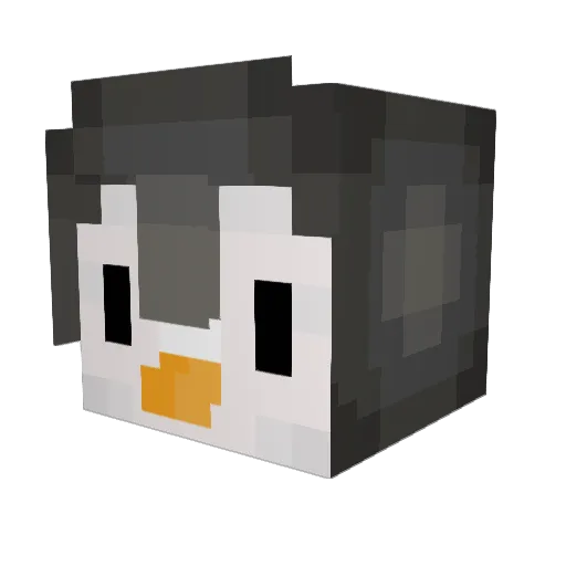 PenguinBC07 Minecraft avatar head, 3D render