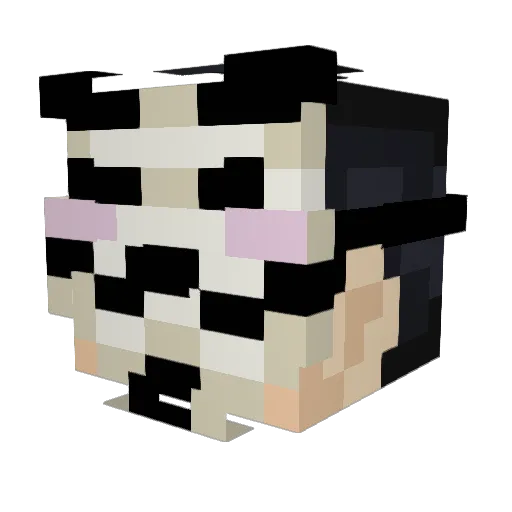 PenguinBeater Minecraft avatar head, 3D render