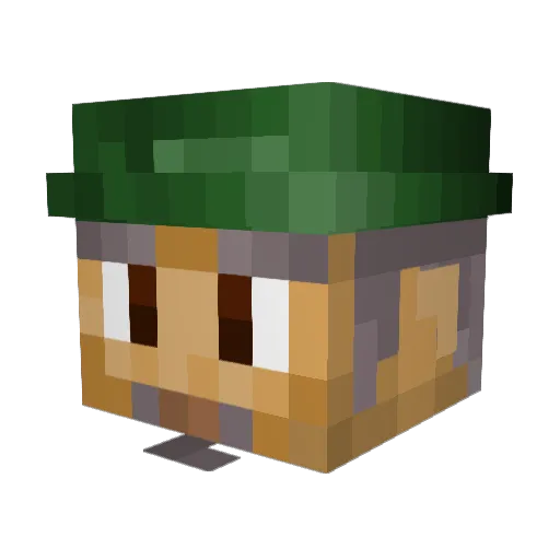 PenguinDeathLord Minecraft avatar head, 3D render
