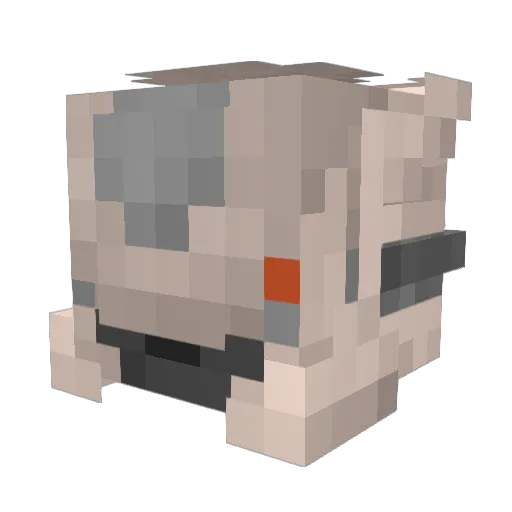 PenguinDude992 Minecraft avatar head, 3D render