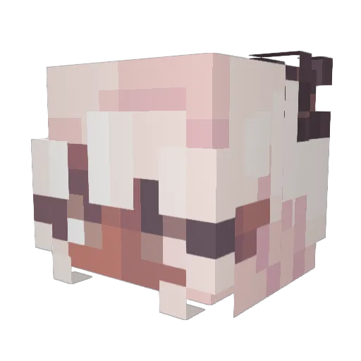 PenguinGirl408 Minecraft avatar head, 3D render