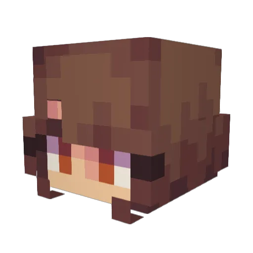 PenguinGod81 Minecraft avatar head, 3D render