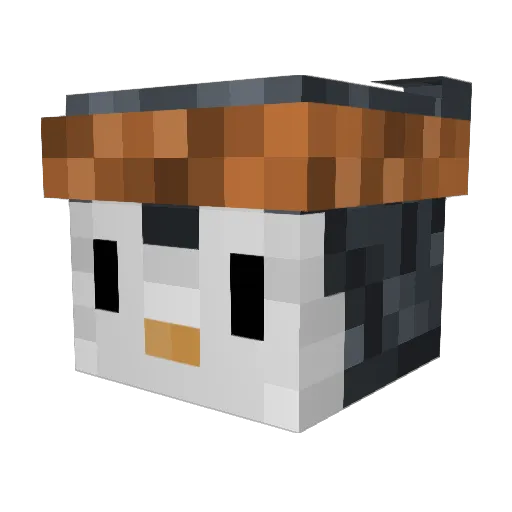 PenguinHoip Minecraft avatar head, 3D render