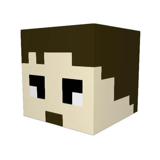 PenguinKidZana Minecraft avatar head, 3D render