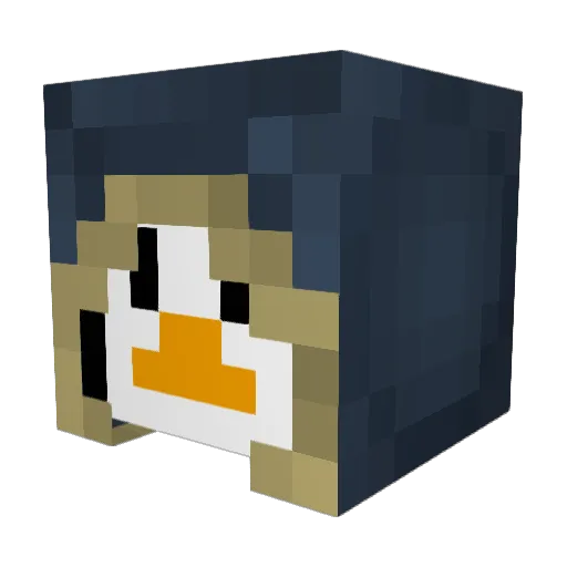 PenguinMages Minecraft avatar head, 3D render