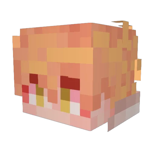 PenguinPanda71 Minecraft avatar head, 3D render