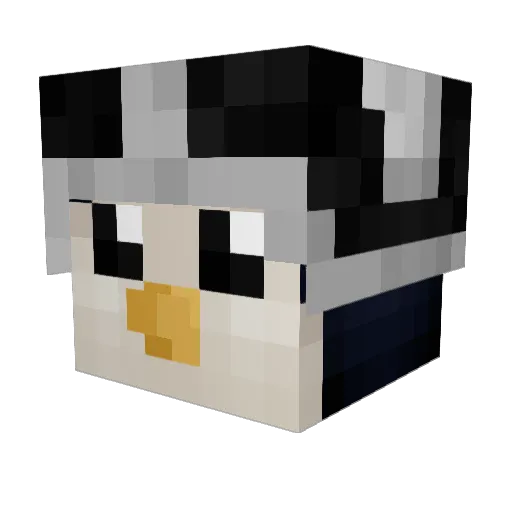 PenguinVegabond Minecraft avatar head, 3D render