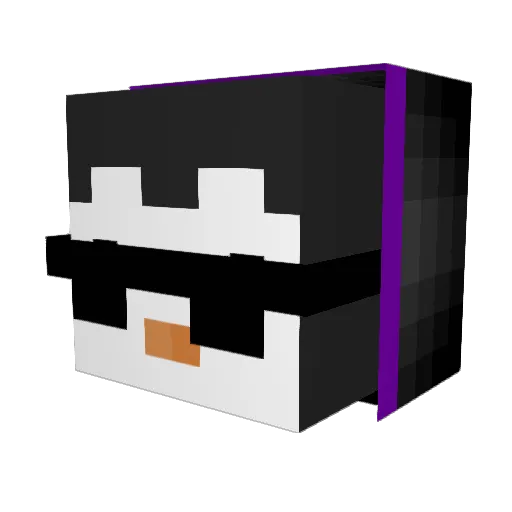 PenguinW11 Minecraft avatar head, 3D render