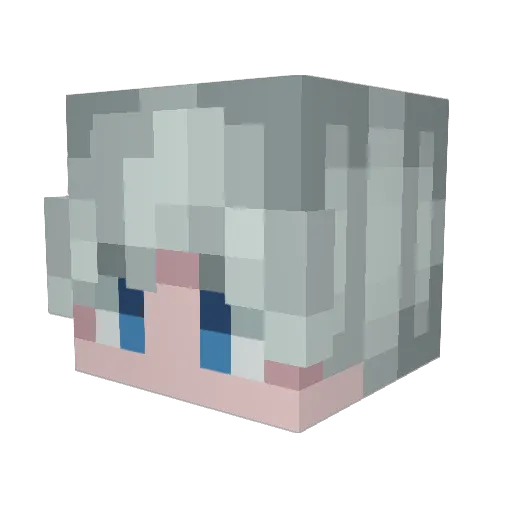 PenguinWasHere_ Minecraft avatar head, 3D render