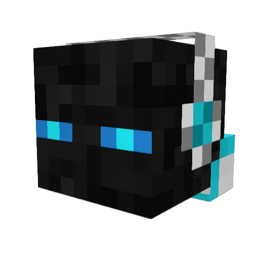 Penguin_000 Minecraft avatar head, 3D render
