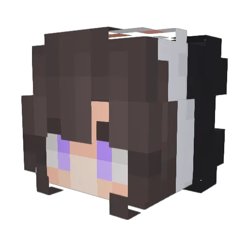 Penguin_4884 Minecraft avatar head, 3D render