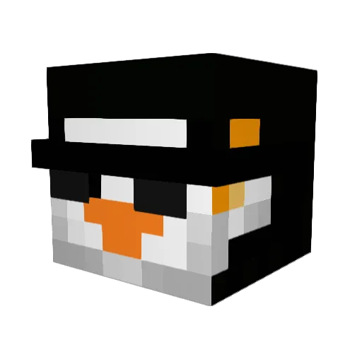Penguin_BIGTOE Minecraft avatar head, 3D render