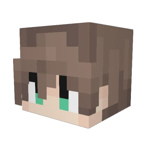 Penguin_Bboy Minecraft avatar head, 3D render