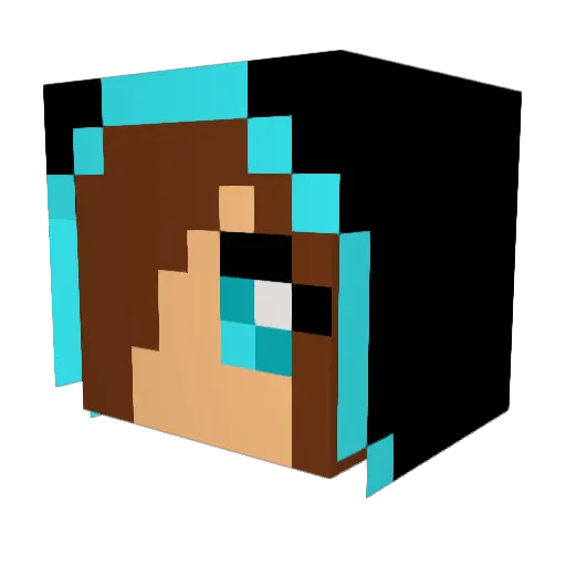 Penguin_Beats Minecraft avatar head, 3D render