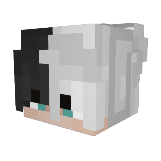 Penguinbo1 Minecraft avatar head, 3D render