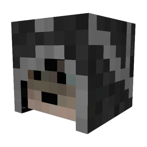 Penguincake Minecraft avatar head, 3D render