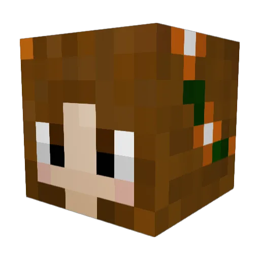 Penguinee3927 Minecraft avatar head, 3D render