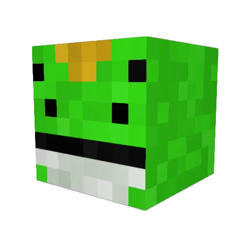 Penguininatree Minecraft avatar head, 3D render