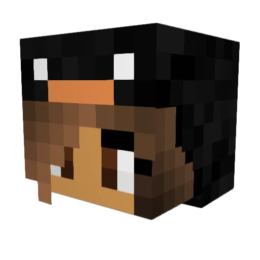 Penguinmaster956 Minecraft avatar head, 3D render