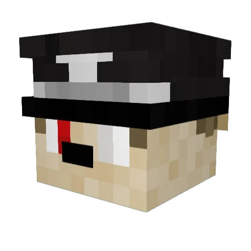 Penguino80 Minecraft avatar head, 3D render