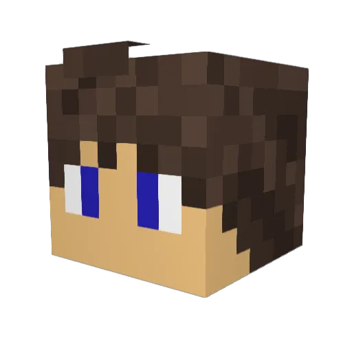 Penguins2023 Minecraft avatar head, 3D render