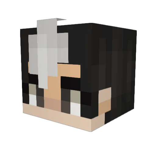 PenguinsInPjs Minecraft avatar head, 3D render