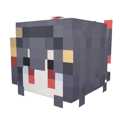 Penguinstarrrr Minecraft avatar head, 3D render