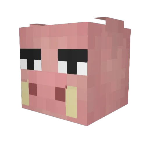 Penguinus Minecraft avatar head, 3D render