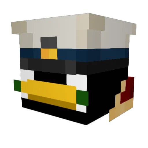 PengussKhan Minecraft avatar head, 3D render