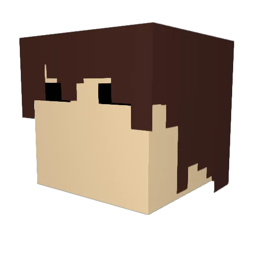 Penguyns Minecraft avatar head, 3D render