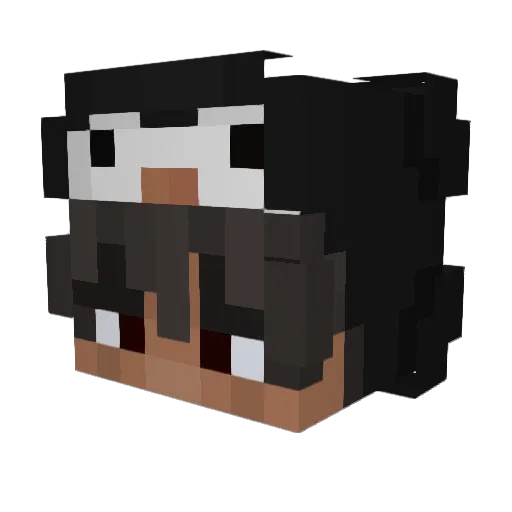 Pengwind Minecraft avatar head, 3D render