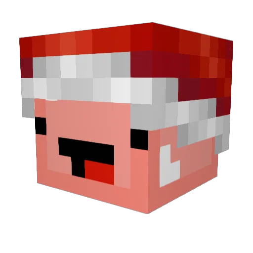 Pengywuin Minecraft avatar head, 3D render
