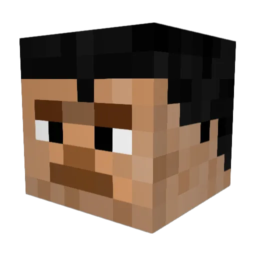 Penigram Minecraft avatar head, 3D render